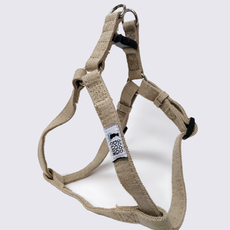 GoodDog Harness Medium Taste Nature Organic Supermarket and Cafe