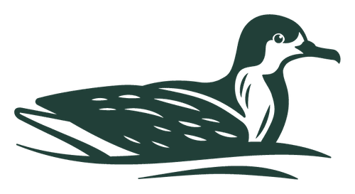 titi_bird_green (6) (1)