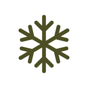 Frozen Products