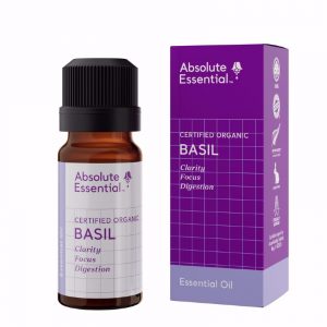 Absolute Essential Oil Basil 10ml