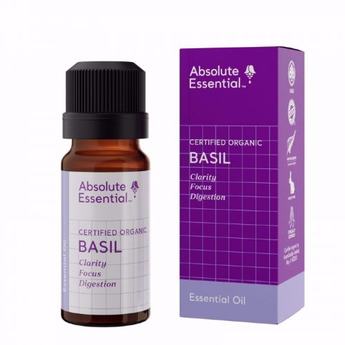 Absolute Essential Oil Basil 10ml