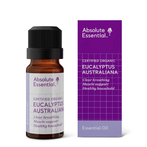 Absolute Essential Oil Eucalyptus Aust 25ml