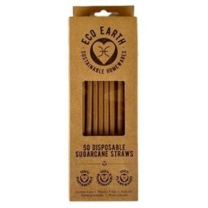 EcoEarth Disposable Straws 24pk