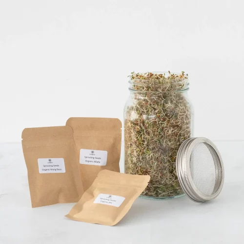 SymBiota Sprouting Kit