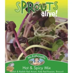MrFothergills Hot N Spicy Sprout Mix