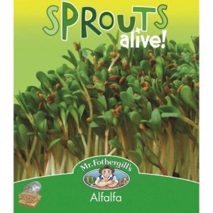 MrFothergills Alfalfa Sprouts