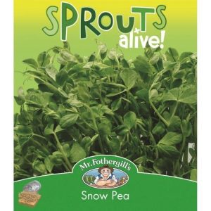 MrFothergills Snow Peas Sprouts