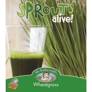 MrFothergills WheatGrass Sprouts