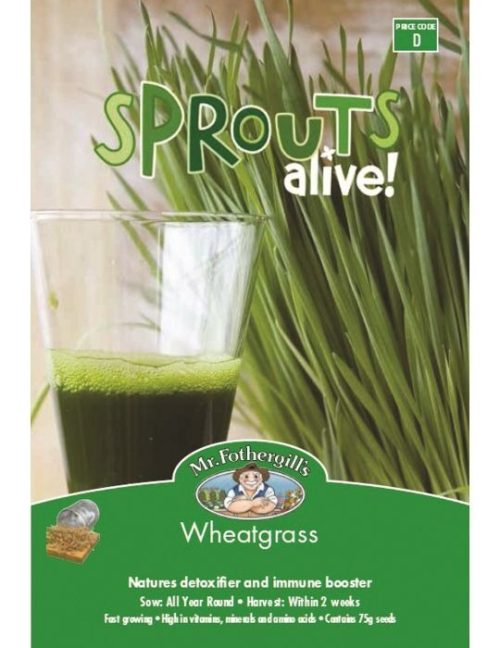MrFothergills WheatGrass Sprouts