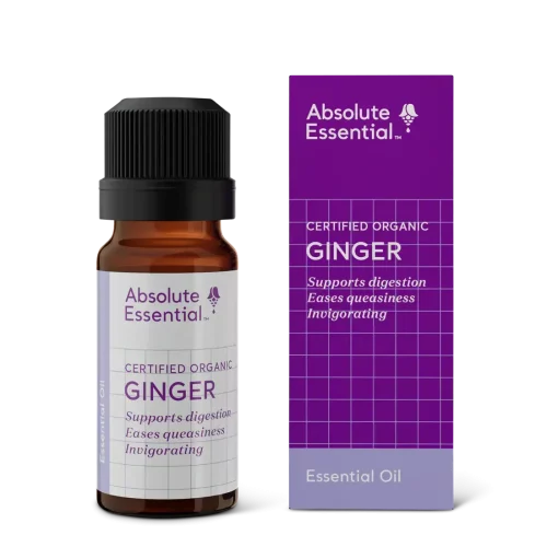 Absolute Essential Oil Ginger 10ml