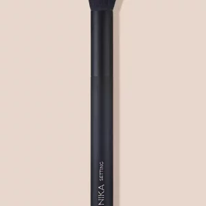 Inika2 Brush Setting