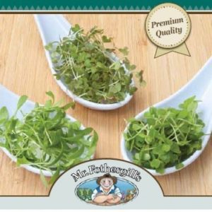 MrFothergills Orient MicroGreens
