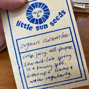 Little Sun Seeds Cucumber