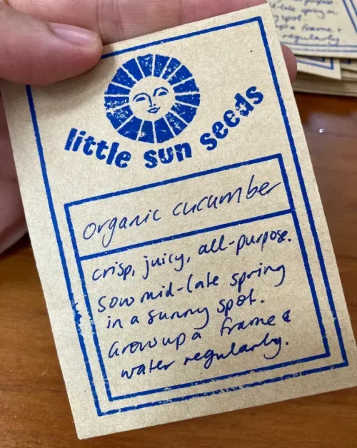Little Sun Seeds Cucumber