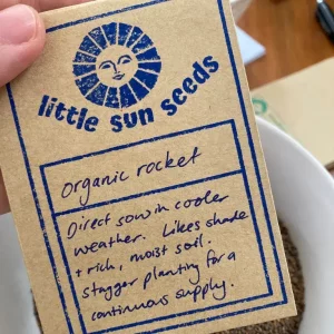 Little Sun Seeds Rocket