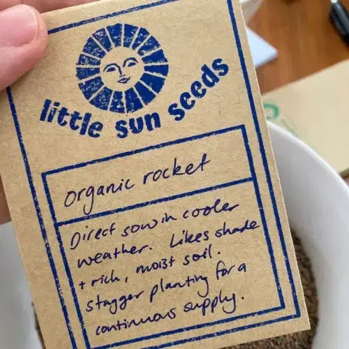 Little Sun Seeds Rocket