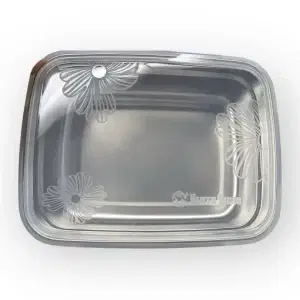 Looking from the top down at BentoNinja Silicone Clear Lid Leakproof