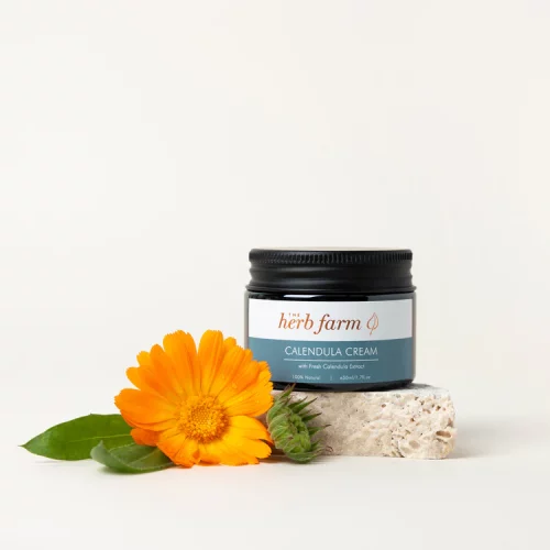 HerbFarm Calendula Cream 50ml on a stone next to a calendula flower.