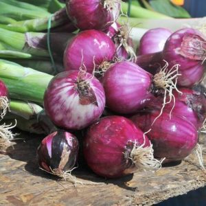 A bunch of Little sunseeds red onions on a wooden table