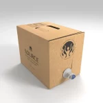 Boxed of Source Naturally Structured Water NZ 10L