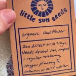 a packet of LittleSunSeeds Organic Cauliflower seeds